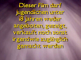 Ich Bin Jung Und Brauche Das Geld Nr.25 (full Movie)